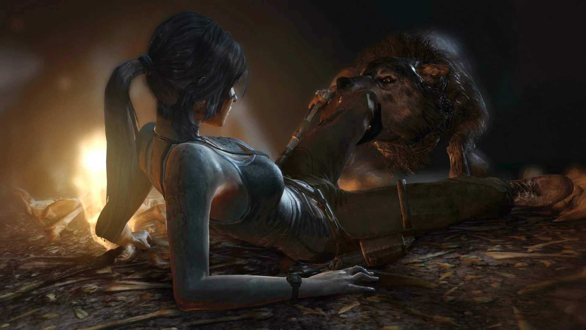 古墓丽影9终极版/Tomb Raider Definitive Edition 豪华中文版免费下载