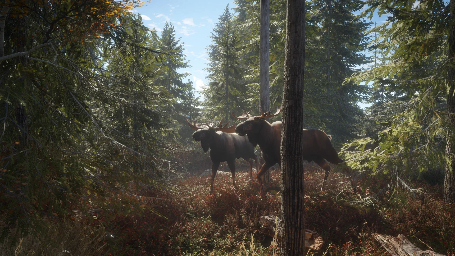 猎人：荒野的召唤/theHunter: Call of the Wild 豪华中文版免费下载