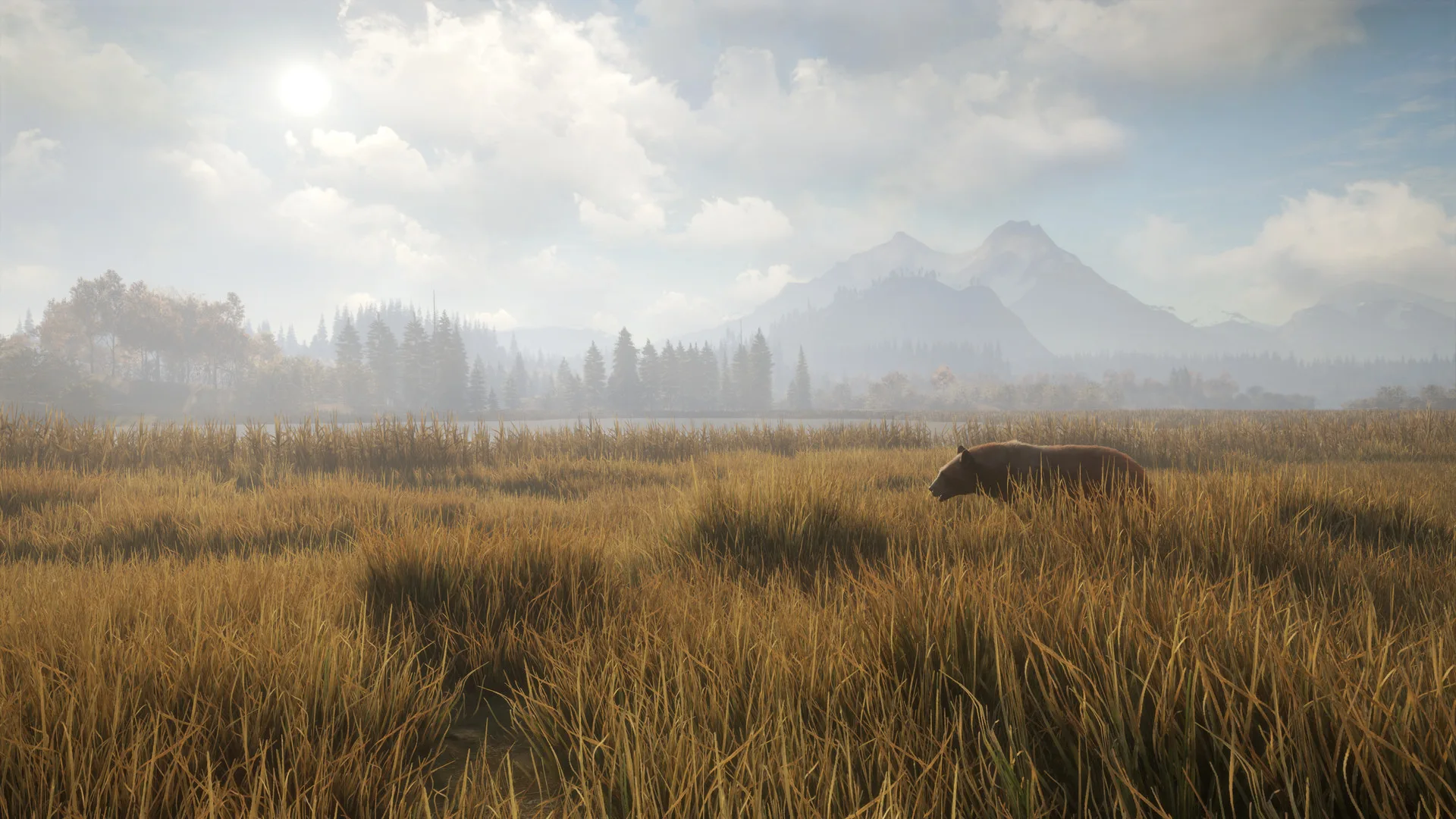 猎人：荒野的召唤/theHunter: Call of the Wild 豪华中文版免费下载