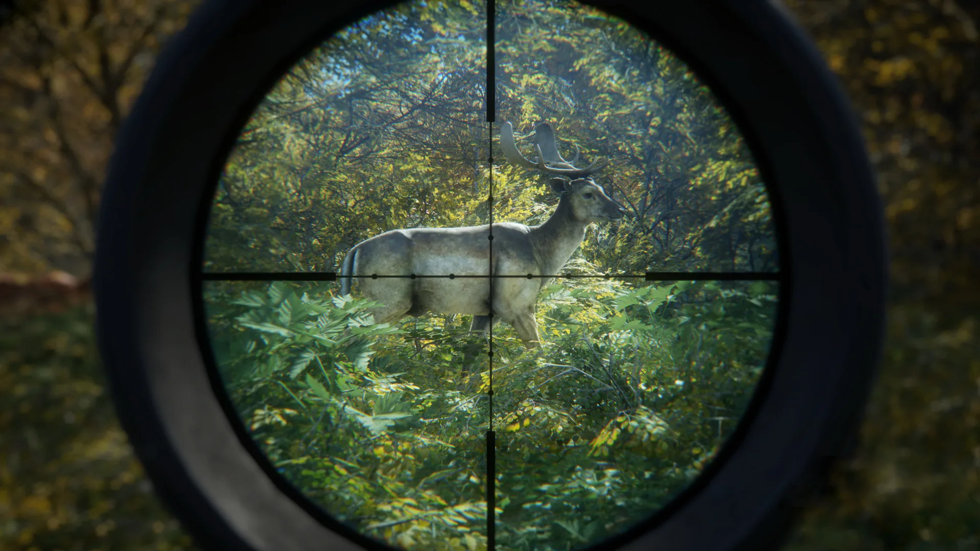 猎人：荒野的召唤/theHunter: Call of the Wild 豪华中文版免费下载