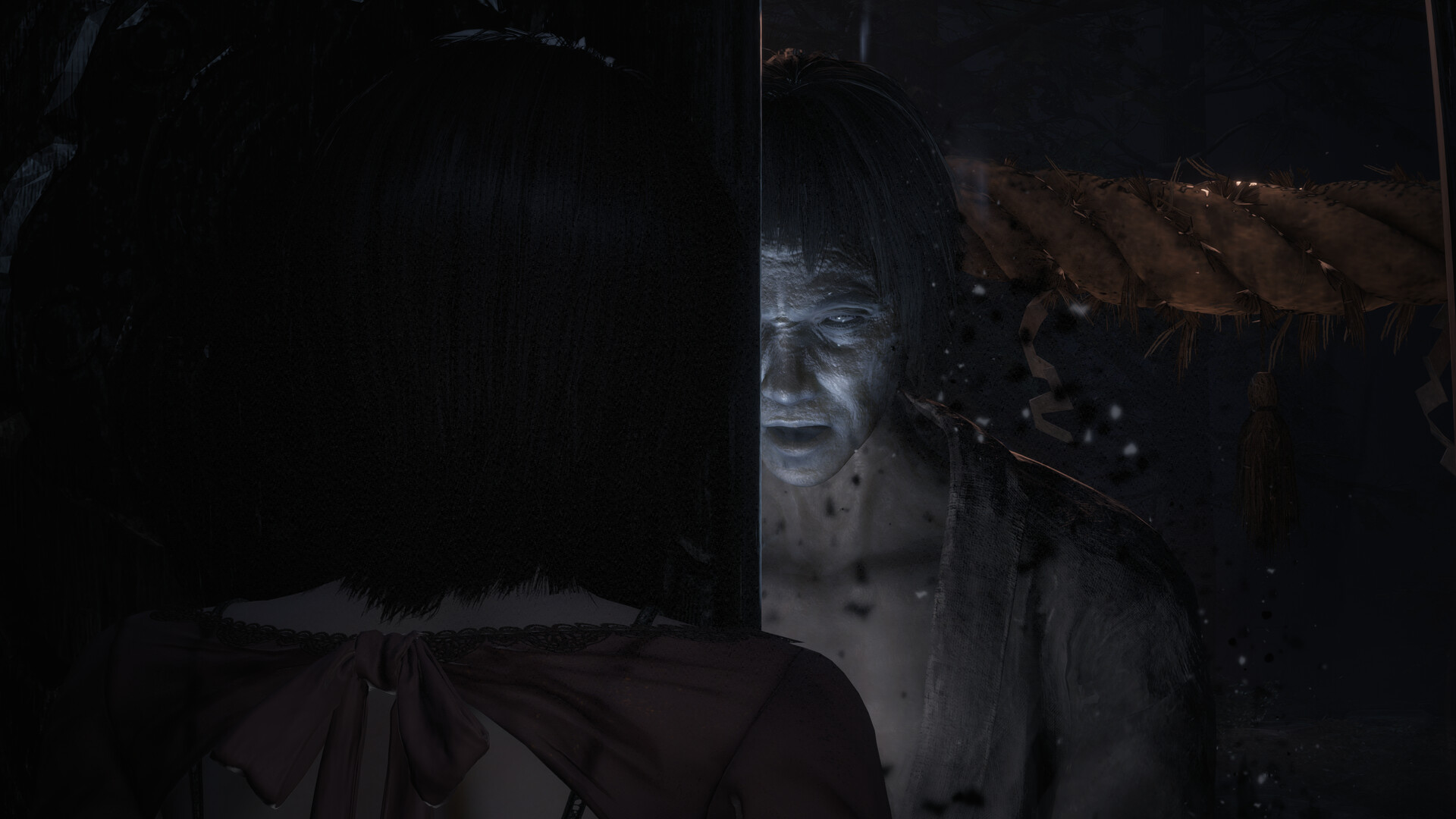 零：红蝶重制版/零 ～红蝶～ 重制版/FATAL FRAME II: Crimson Butterfly REMAKE