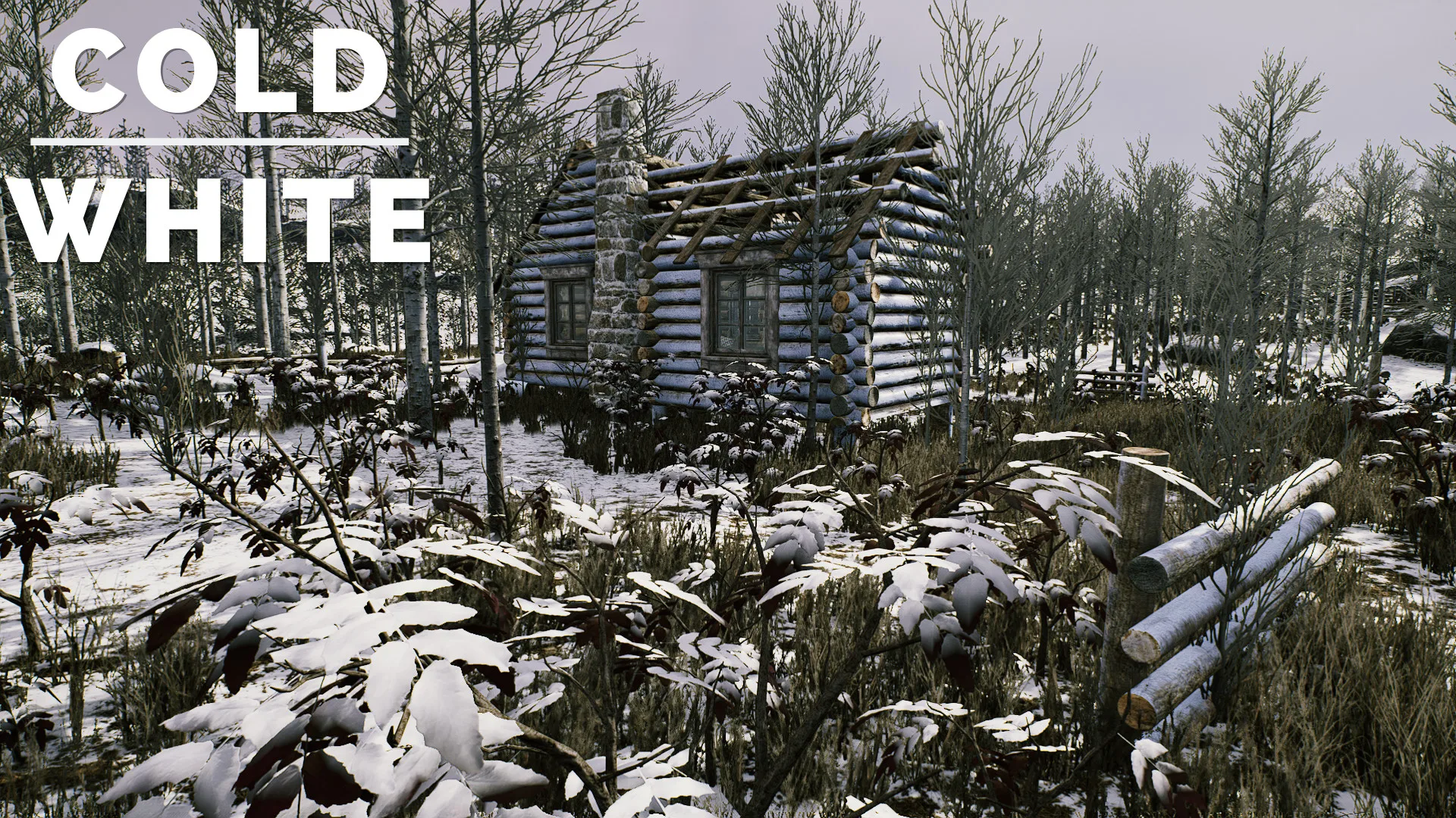 冷白/The Cold White