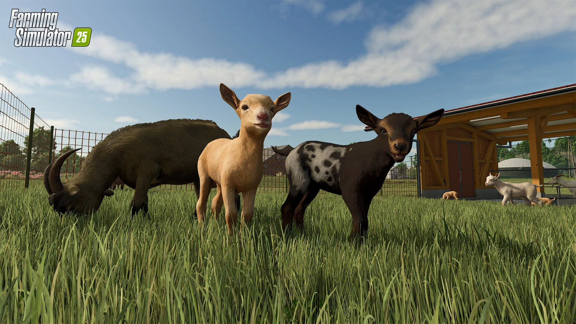 模拟农场25/Farming Simulator 25 豪华中文版免费下载